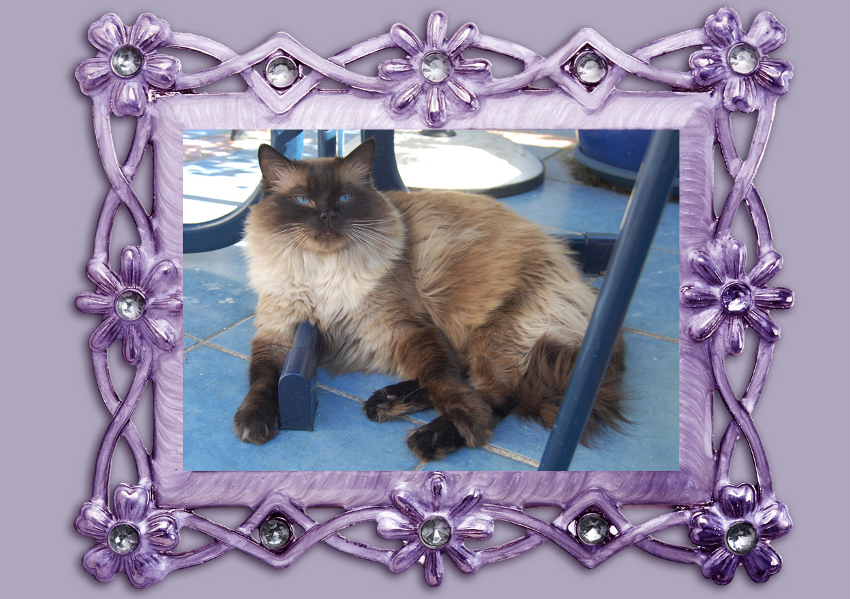 silberner eckiger Bilderrahmen